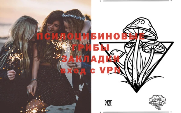 синтетический гашиш Алексеевка
