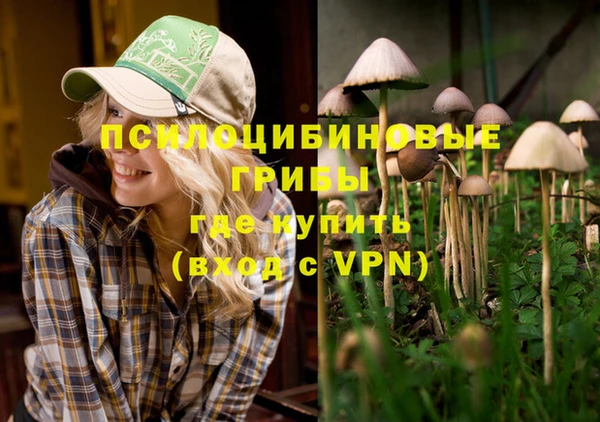 синтетический гашиш Алексеевка