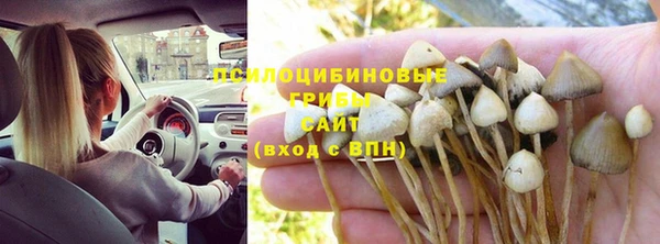 2c-b Алзамай