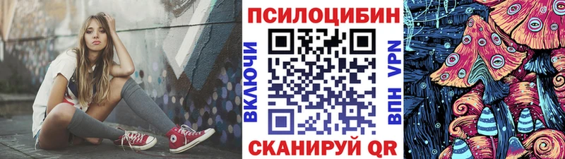 дарк нет как зайти Николаевск Галлюциногенные грибы мухоморы где можно купить