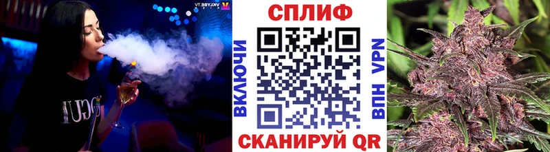 Бошки Шишки планчик  Николаевск 